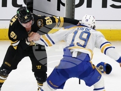 Sabres Bruins Hockey