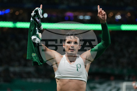 Brazil Ecuador Soccer Copa Libertadores