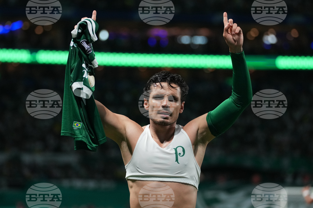 Brazil Ecuador Soccer Copa Libertadores