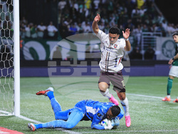 Brazil Ecuador Soccer Copa Libertadores