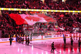 Flames Senators Hockey