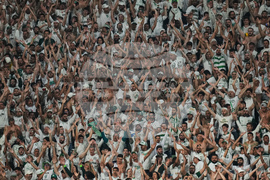 Brazil Ecuador Soccer Copa Libertadores