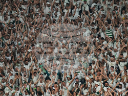 Brazil Ecuador Soccer Copa Libertadores