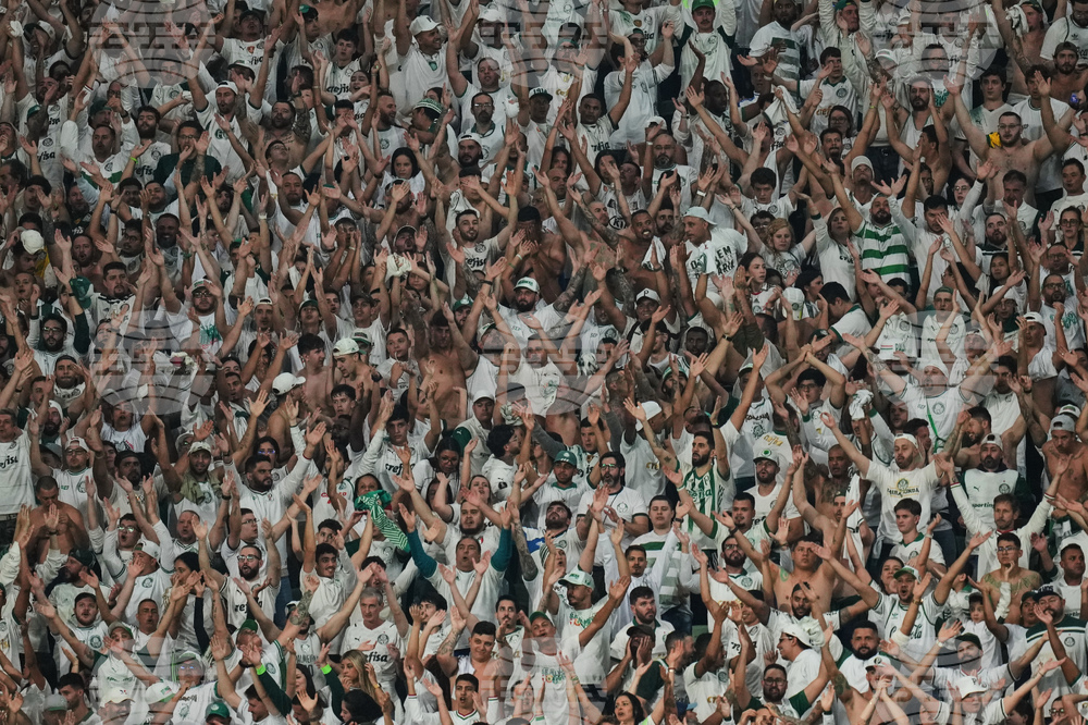 Brazil Ecuador Soccer Copa Libertadores