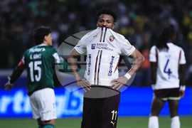 Brazil Ecuador Soccer Copa Libertadores