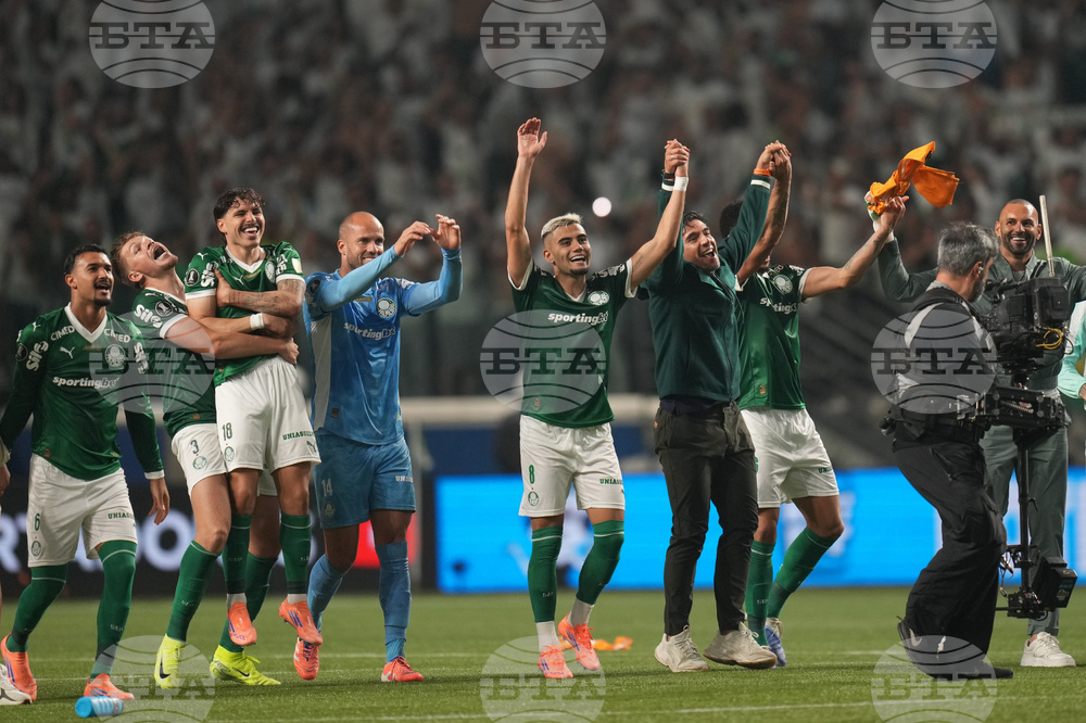 Brazil Ecuador Soccer Copa Libertadores