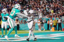 Ravens Dolphins Football