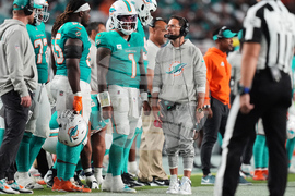 Ravens Dolphins Football