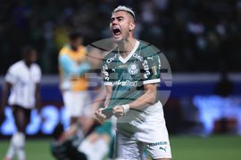 Brazil Ecuador Soccer Copa Libertadores