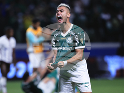 Brazil Ecuador Soccer Copa Libertadores