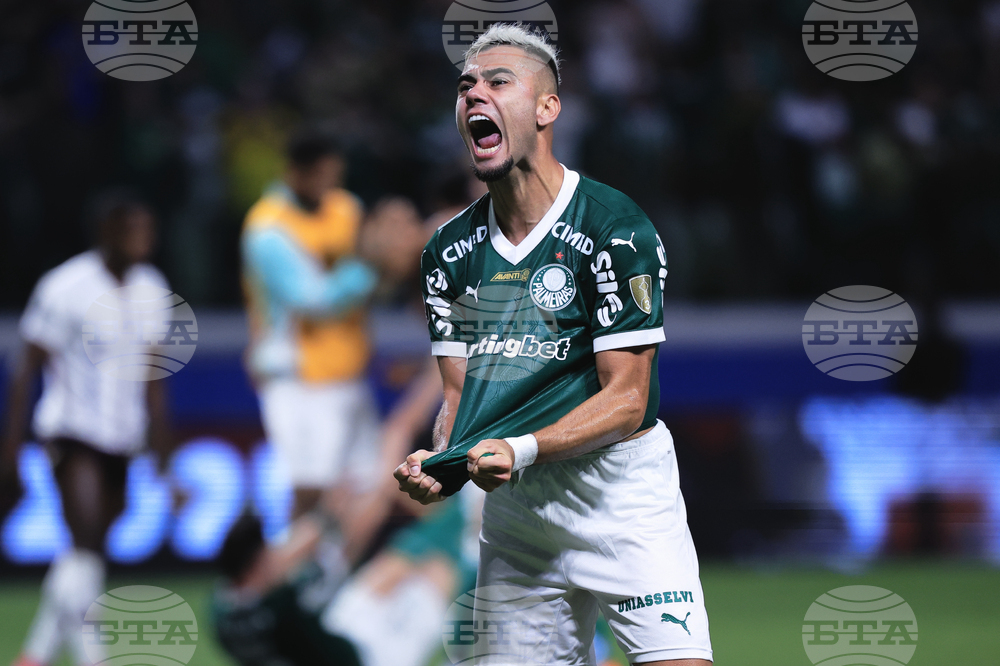 Brazil Ecuador Soccer Copa Libertadores