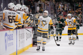 Penguins Wild Hockey