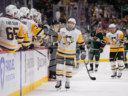 Penguins Wild Hockey