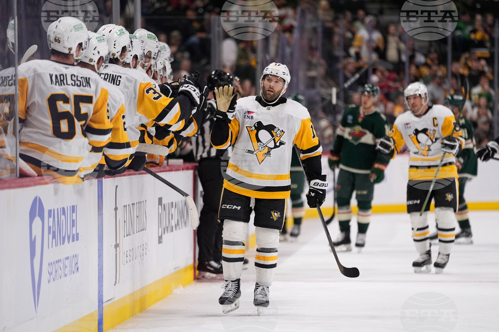 Penguins Wild Hockey