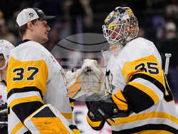 Penguins Wild Hockey