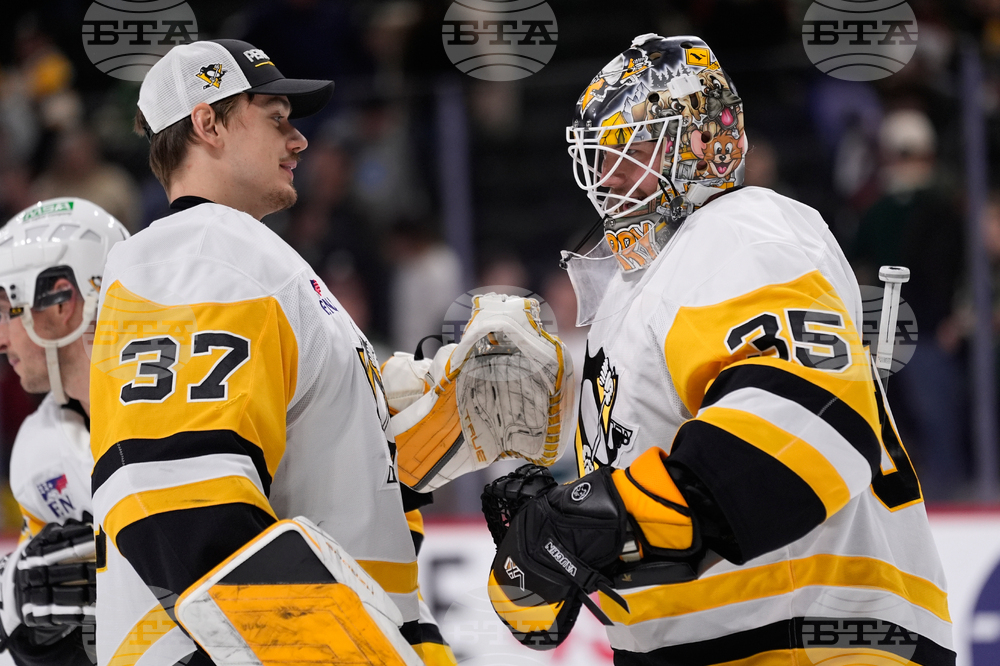 Penguins Wild Hockey