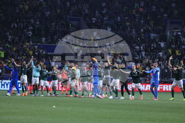 Brazil Ecuador Soccer Copa Libertadores