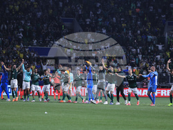 Brazil Ecuador Soccer Copa Libertadores