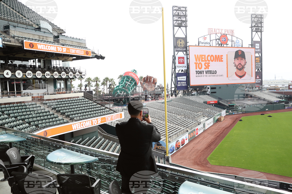 Giants Vitello Baseball