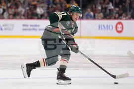 Penguins Wild Hockey