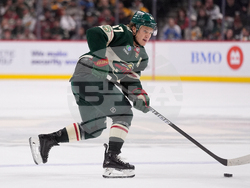 Penguins Wild Hockey