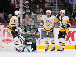 Penguins Wild Hockey