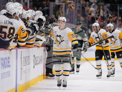 Penguins Wild Hockey