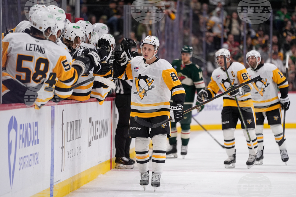 Penguins Wild Hockey