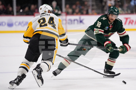 Penguins Wild Hockey