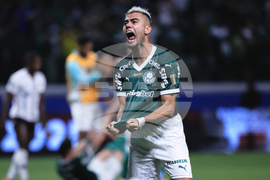 APTOPIX Brazil Ecuador Soccer Copa Libertadores