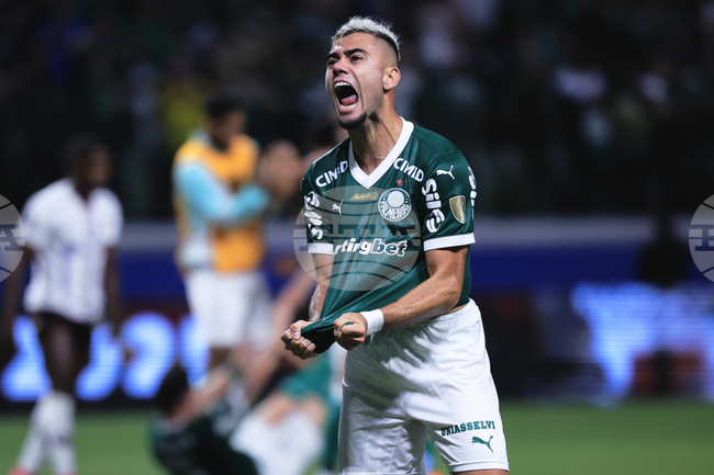 APTOPIX Brazil Ecuador Soccer Copa Libertadores