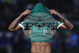 APTOPIX Brazil Ecuador Soccer Copa Libertadores