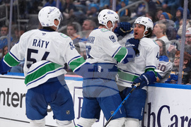 Canucks Blues Hockey