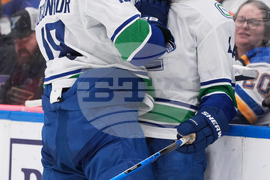 Canucks Blues Hockey