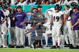 Ravens Dolphins Football