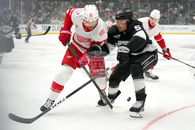 Red Wings Kings Hockey