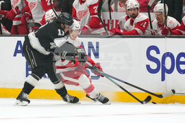 Red Wings Kings Hockey