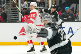 Red Wings Kings Hockey