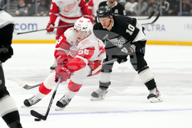 Red Wings Kings Hockey