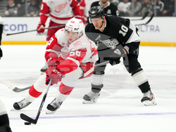 Red Wings Kings Hockey