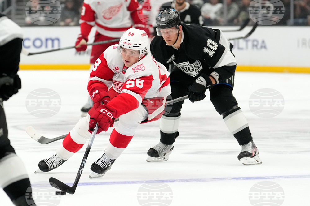 Red Wings Kings Hockey