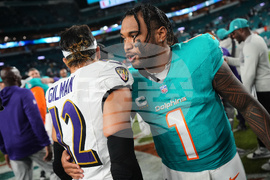 Ravens Dolphins Football