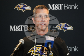 Ravens Dolphins Football