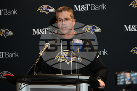 Ravens Dolphins Football