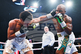 Mathieu Phinn Boxing