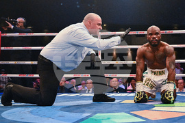 Mathieu Phinn Boxing