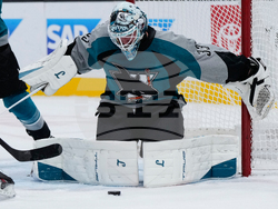 Devils Sharks Hockey