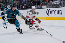 Devils Sharks Hockey