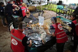 Pictures of the Week Latin America and Caribbean Photo Gallery