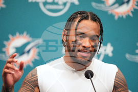 Ravens Dolphins Football